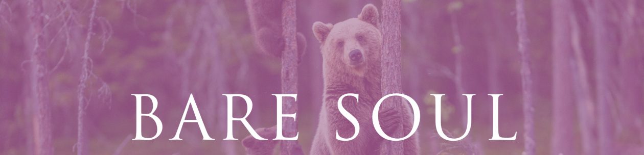 Bare Soul Alchemy Practices